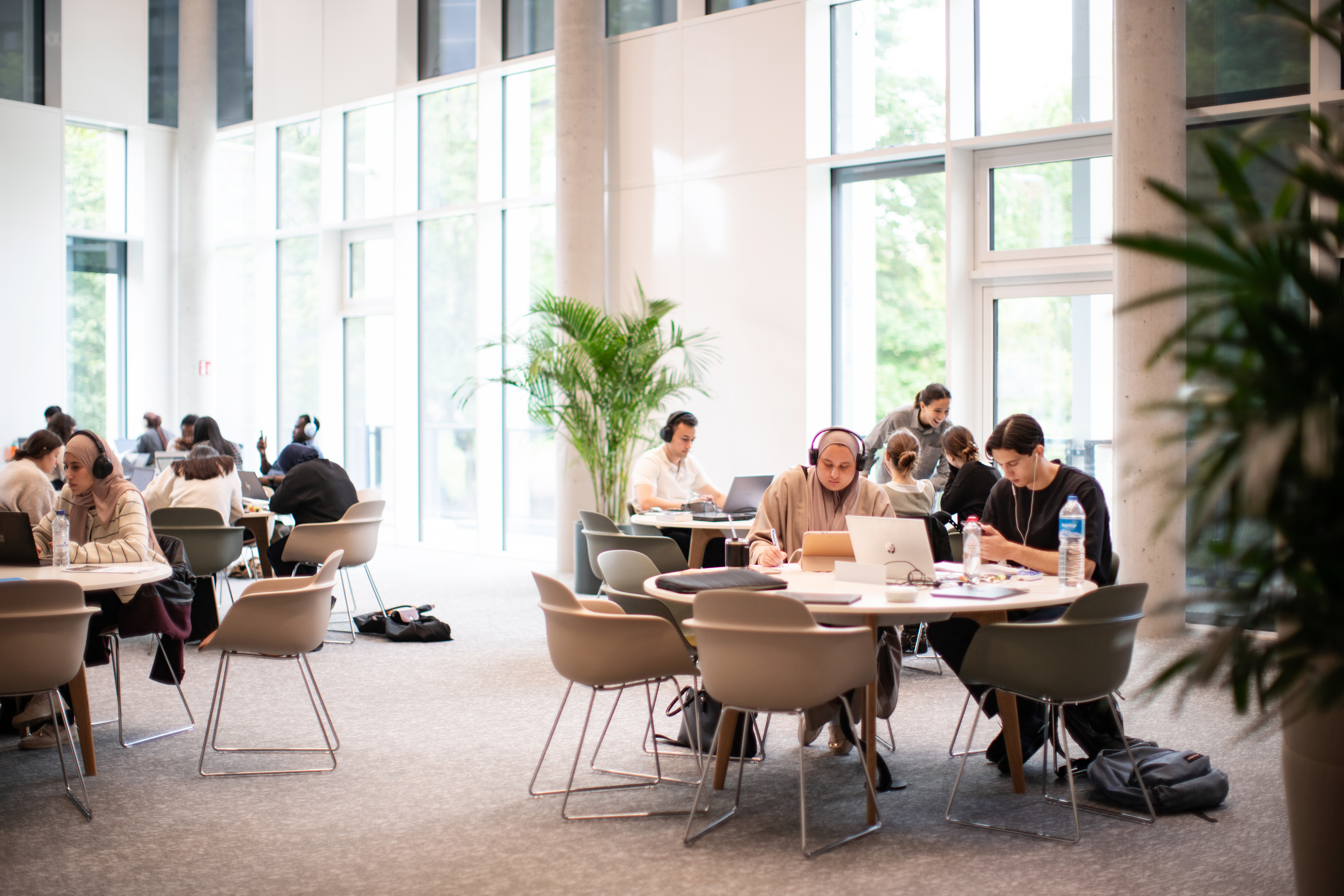 Students studying in LIC